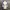 Yohji Yamamoto Ined White Cardigan photo 9