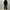 tooth 🦷 photo 5