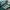 Adidas Gorpcore Indie Sneakers Pria white green photo 2