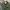 TBJ Nearby Vintage Casual Casual pants Pria green photo 5