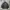 New Balance Camo Puffer Jacket photo 1