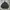 Nicole St Giles Parka Jacket two pocket photo 1