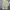 Streetwear Vintage Tracksuit Pria cream photo 3