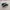 Nike Air Jordan Gorpcore Indie Sneakers Pria white black photo 1