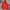 Hoodie adidas firebird  photo 1