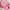 Pink Floral Lace Bra 38/85 photo 4
