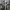 Zara Unisex Jacket Army  photo 7