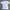 VANS Streetwear Skater T-shirt Pria white photo 2
