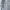 UNITED ARROW GREEN LABEL RELAXING WHITE DENIM JACKET photo 4