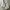 UNITED ARROW GREEN LABEL RELAXING WHITE DENIM JACKET photo 8