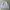 UNITED ARROW GREEN LABEL RELAXING WHITE DENIM JACKET photo 1