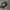 Blank Heavyweight Grey hoodies photo 3