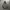 Blank Heavyweight Grey hoodies photo 1