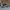 Nike calm mule men photo 4