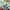 Quash Japan Eimbordery Motifs Single Pocket Beige Tee photo 6