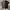 Kaos TNF The North Face Big Logo photo 6
