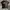 Kaos TNF The North Face Big Logo photo 1