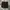 Celana Pendek Cargo I Love Ugly photo 1