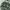 Thick Green Eagle Bold Pattern Knit Sherpa Hoodie photo 4