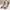 ALDO Luxury Minimalist Heels Wanita khaki cream photo 2