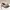 ALDO Luxury Minimalist Heels Wanita khaki cream photo 6
