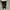 Dickies Double Knee Work Pants photo 7