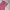 Y2K Blouse Wanita pink photo 4