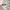 Oakley Straight Jacket Flame Edition photo 1