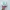 Asics Novablast 4 Pale Mint photo 3