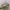 Y2K Handbag Wanita white pink photo 6
