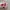 Y2K Handbag Wanita white pink photo 5
