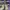 AIR TRAINER 1 SP GREY HAZE TRAVIS SCOTT , AIR TRAINER 1 TRAV photo 2