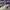 AIR TRAINER 1 SP GREY HAZE TRAVIS SCOTT , AIR TRAINER 1 TRAV photo 1