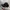 NHRA RACING THUNDER FULL BORDIR
