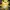 Boneka NAILONG photo 1