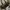 Shoulder bag hand bag sling bag  brown coffee tas selempang  photo 3