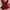 Rare Vtg Red milkmaid offshoulder top photo 1