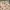#FR2 Vintage Y2K Wanita burgundy white tan photo 4