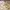 #FR2 Vintage Y2K Wanita Burgundy White Tan