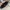Coach Vintage Wristlet Wanita black photo 3