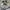 MAISON DE MERCI ORIGINAL WHITE MOTIF BORDIR photo 3