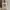 MAISON DE MERCI ORIGINAL WHITE MOTIF BORDIR photo 1