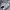 Louis Vuitton Luxury Casual shirt Pria white photo 7