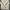 Le coq Sportif crewneck grey photo 1