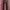 Japanese brand y2k Red pepper mudwash denim photo 1