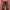 Japanese brand y2k Red pepper mudwash denim photo 6