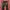 Japanese Brand Y2k Red Pepper Mudwash Denim
