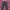 Y2k Super lovers tartan pants photo 2