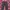 Y2k Super Lovers Tartan Pants