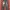 Y2k karl kani baggy pants photo 1